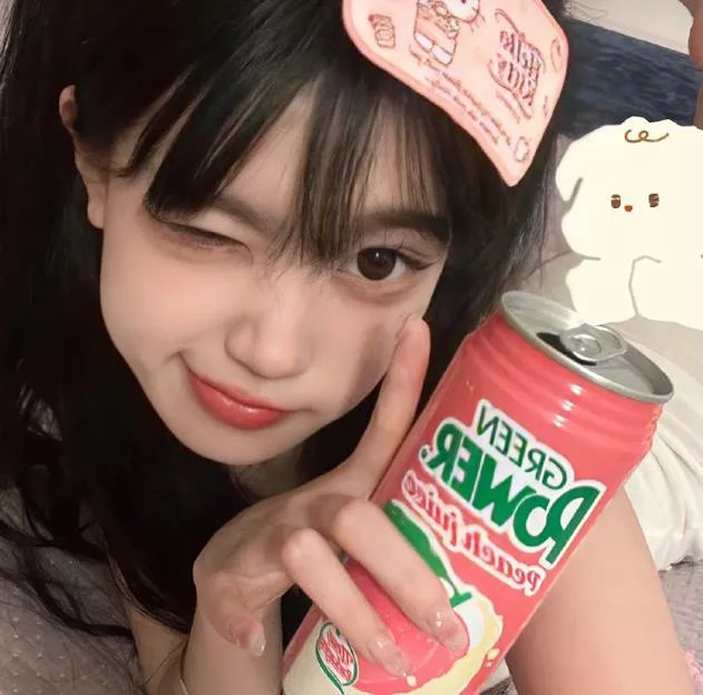 易布拉辛先生和古兰经的花